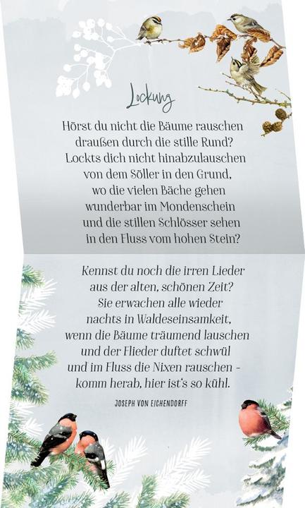 Produktbild Coffee-Table-Adventskalender