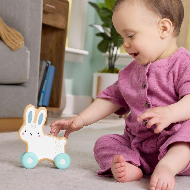 Actual product image Fisher-Price Wooden sliding bunnies
