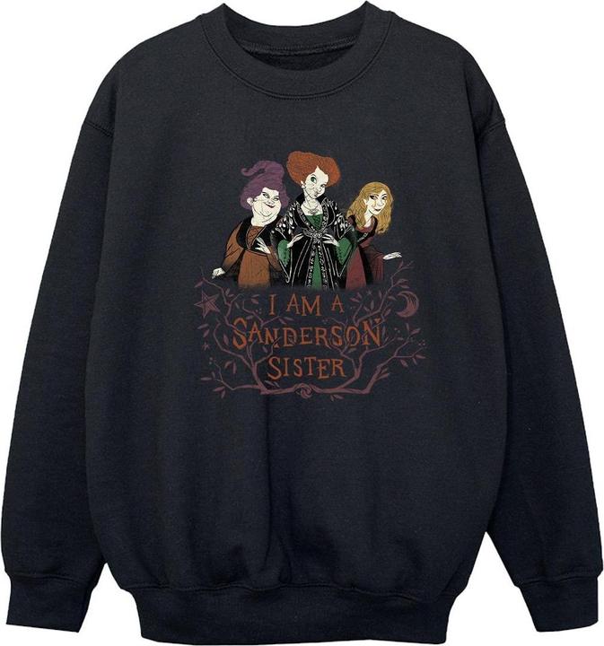 Immagine prodotto Disney Hocus Pocus Sanderson Sister Felpa Ragazze (140, 146)