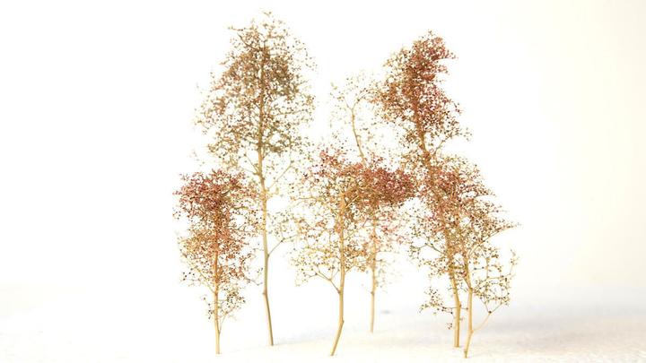 Noch Ébauches d'arbres