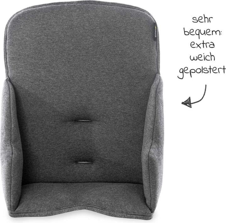 Actual product image Hauck Alpha cosy Select