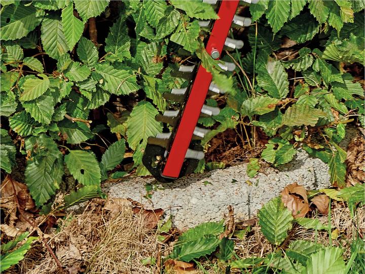 Image du produit Einhell Arcurra (Taille-haies sans fil)