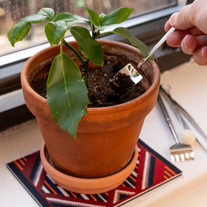 Actual product image Kikkerland Mini Garden Tools