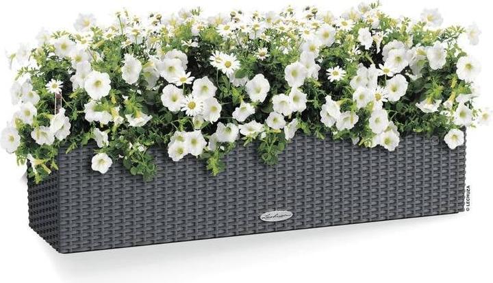 Image du produit Lechuza Chalet Balconera (19 cm)