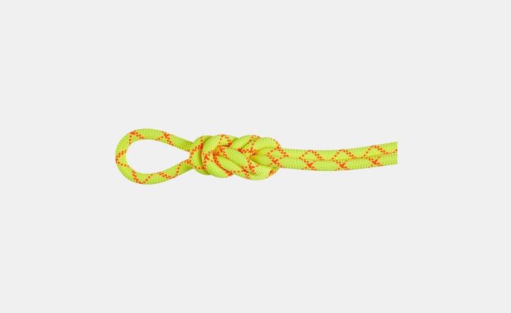 Produktbild Mammut 9.5 Alpine Core Protect Dry Rope (40 m)