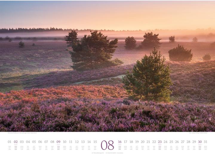 Produktbild Morgenlicht Kalender 2026 (54 x 42 cm, Englisch, Französisch, Deutsch)