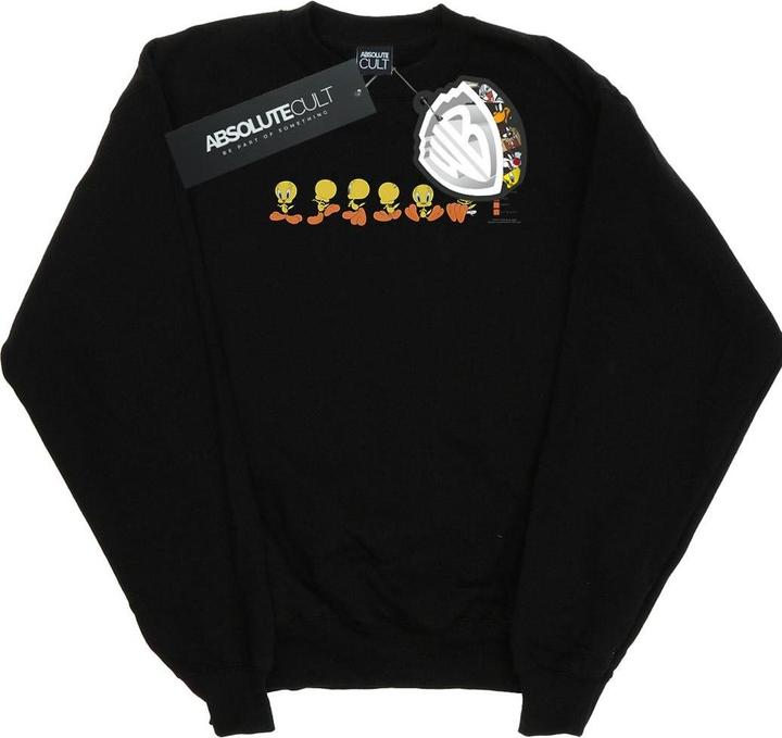 Looney Tunes Tweety Pie Colour Code Sweatshirt (XXL)