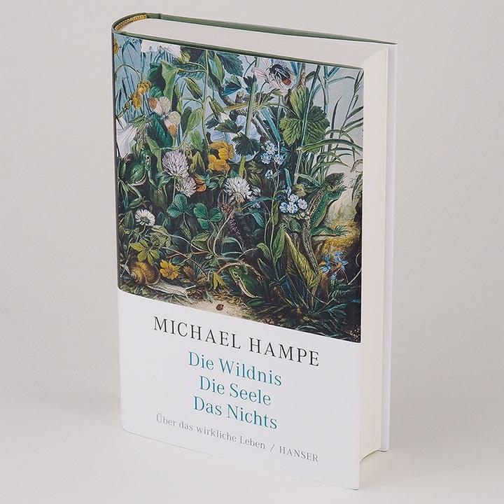 Actual product image Die Wildnis, die Seele, das Nichts (German, Michael Hampe, 2020)