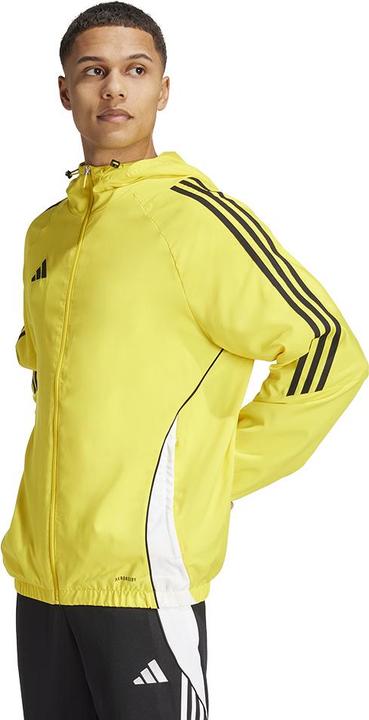 Actual product image adidas TIRO24 WB (L)