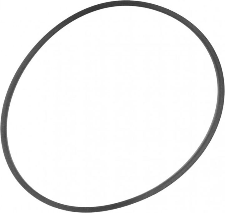 Actual product image Dennerle Nano SkimFilter O-Ring (Fresh water)