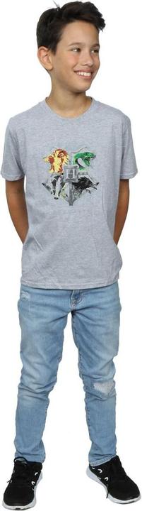 Actual product image Boys Hogwarts Painted Crest T-Shirt (140, 146)