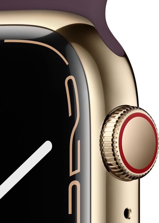 Immagine prodotto Apple Watch Series 7 (45 mm, 4G)