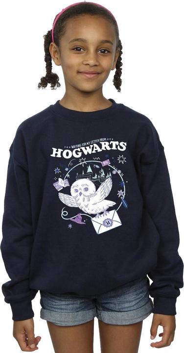 Produktbild Owl Letter From Hogwarts Sweatshirt Mädchen (140, 146)