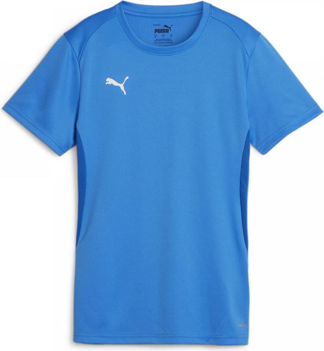 Produktbild Puma teamGOAL Jersey Wmn (M)