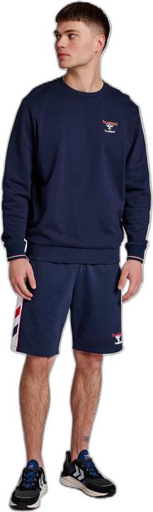 Actual product image hummel Ic Dayton Sweatshirt (S)