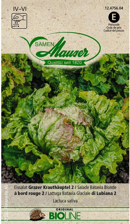 Produktbild Samen Mauser BIO Eissalat Grazer Krauthäuptel 2 (Gemüsesamen)