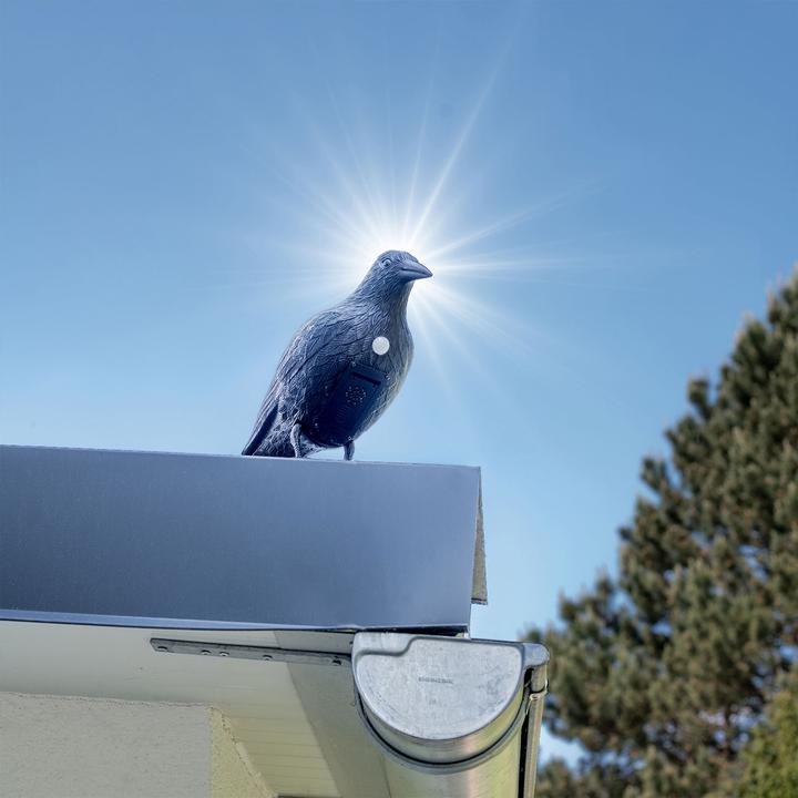 Actual product image Gardigo Crow