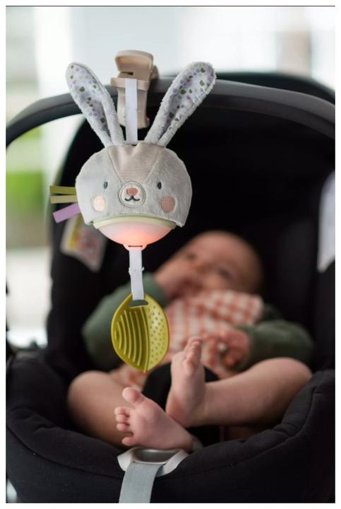 Actual product image Taf Toys Lapin
