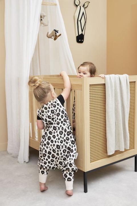 Image du produit Meyco Cavalier (80 cm)