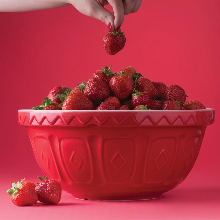 Actual product image Mason Cash Mixing bowl (29 cm, 4 l, 1 x)