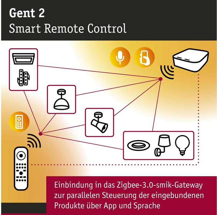 Actual product image Paulmann Remote control Gent 2