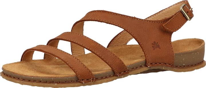 El Naturalista Sandalen (38)