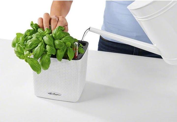 Produktbild Lechuza Cube (17 cm)