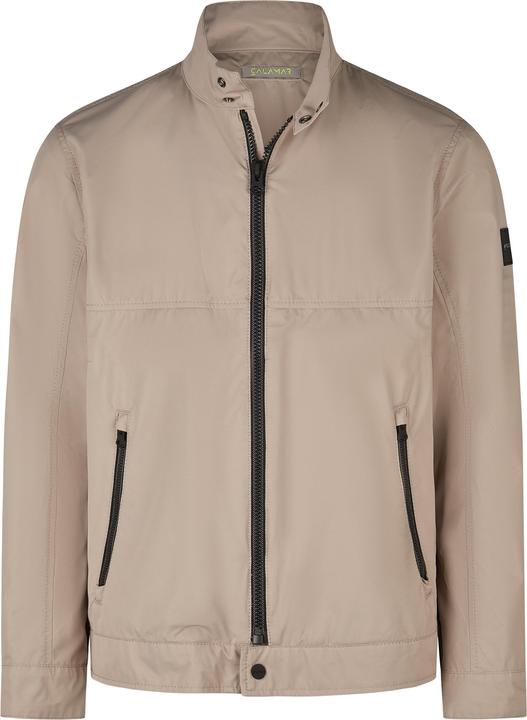 Silver Beige