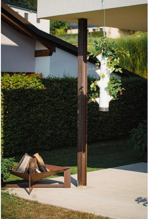 Immagine prodotto Gusta Garden Sissi Fragola (48 cm)