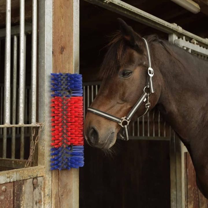 Actual product image Kerbl Scratching brush