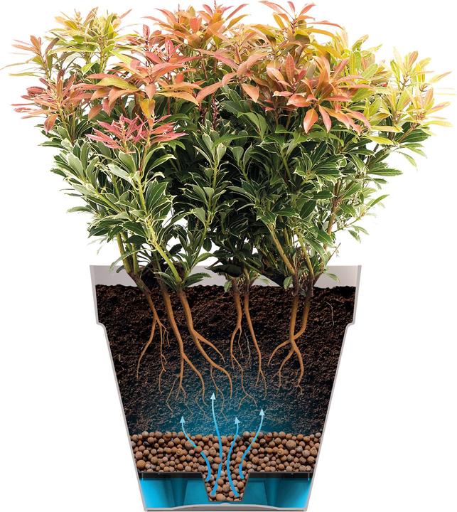 Image du produit Elho Loft urbain (24 cm)
