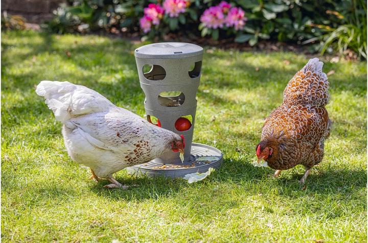 Image du produit Beeztees Mangeoire pour poules Tour d'alimentation, Gris