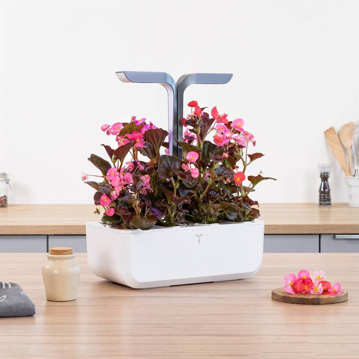 Produktbild Véritable Connect Indoor Garden (18 cm)