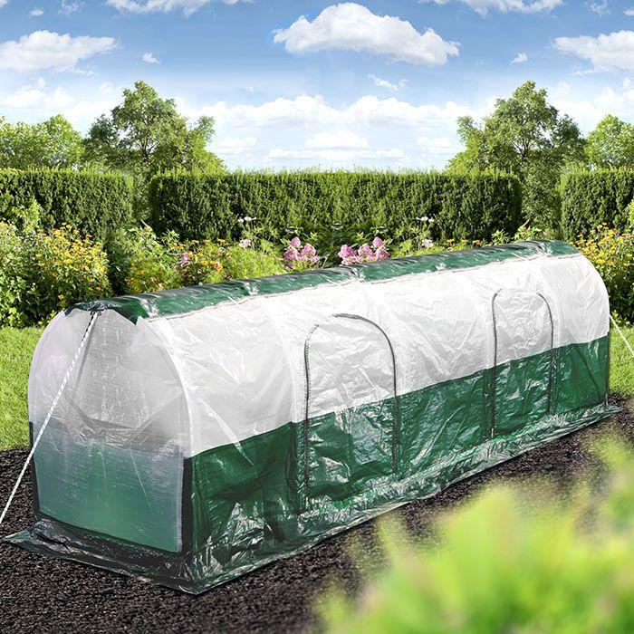 Actual product image Bio Green Super Dome