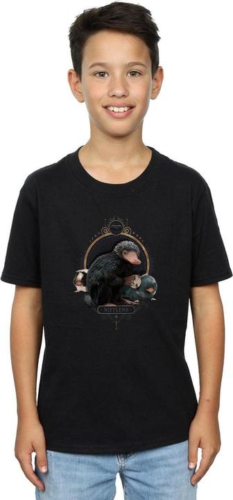 Actual product image Fantastic Beasts Boys Baby Nifflers T-Shirt (140, 146)