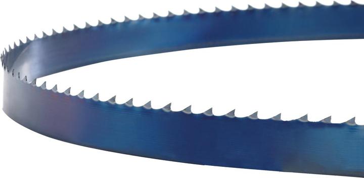 Actual product image Holzstar Saw band 4080 x 10 x 0.6 mm 4 ZpZ