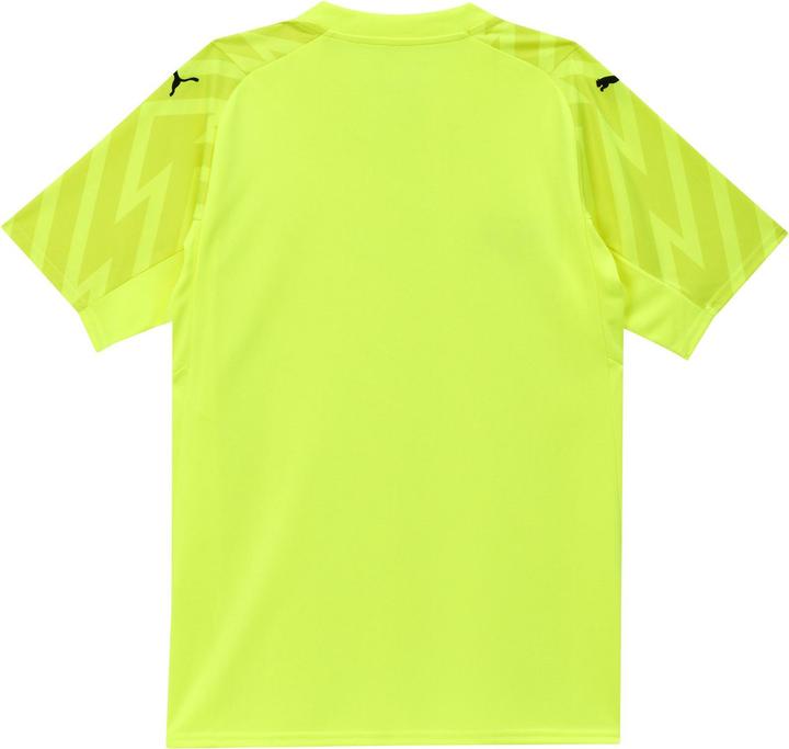 Actual product image Puma SFV GK Jersey SS Replica Jr (164)