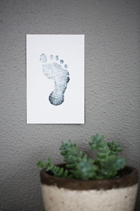 Immagine prodotto Pearhead Tamponi per timbri