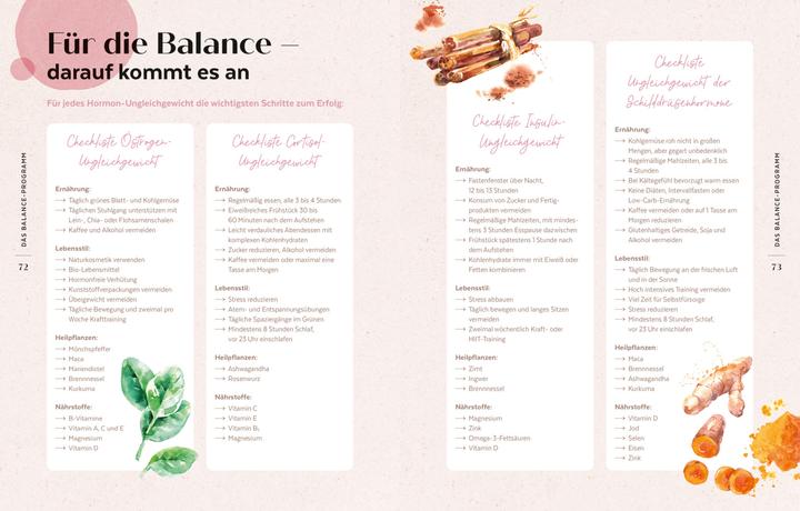 Produktbild Die Hormon-Balance-Diät (Deutsch, Rabea Kiess, 2021)