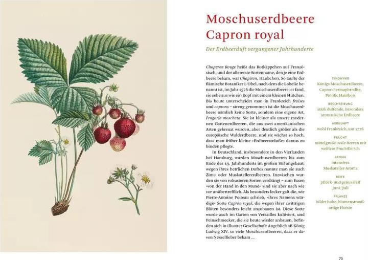 Produktbild Die alten Obstsorten (Deutsch, Sofia Blind, Staatsbibliothek zu Berlin, 2020)
