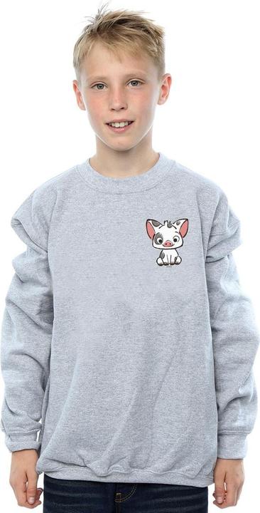 Actual product image Disney Boys Moana Pua The Pig Breast Print Sweatshirt (128)