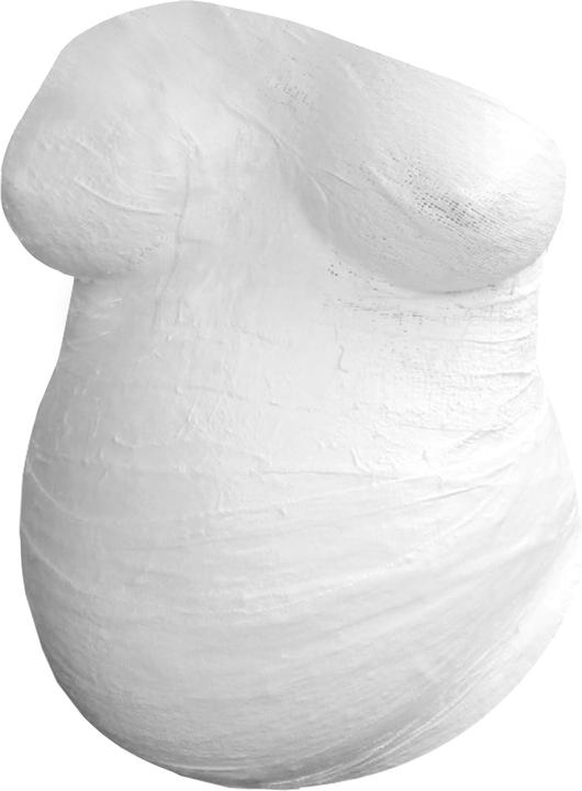 Image du produit Pearhead Prêt pour la prise d'empreinte abdominale