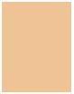 Actual product image Bourjois Healthy Mix Clean & Vegan BB Cream (02 Vanilla)