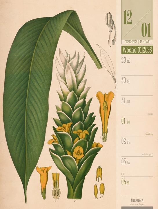 Produktbild Culinarium - Küche, Kräuter, Kurioses - Vintage Wochenplaner Kalender 2026 (25 x 33 cm, Harter Einband, Deutsch)