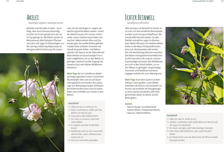 Actual product image Heimische Pflanzen für den Garten (German, Elke Schwarzer, 2022)
