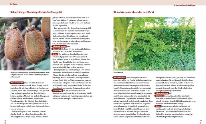 Image du produit Praxisbuch Waldgarten (Allemand, Volker Kranz, Frederik Deemter, 2024)