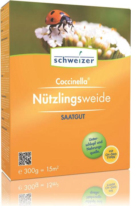 Schweizer Insetto benefico del pascolo Coccinella (Risemina del prato)