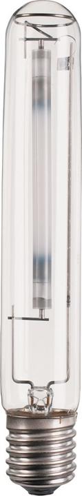 Philips Mstsontapiaplusxtra