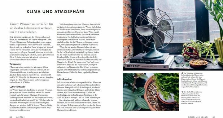 Produktbild Grow in the Dark - Die schönsten Zimmerpflanzen für dunkle Räume und Plätze. Beleuchtung, Düngung (Deutsch, Lisa Eldred Steinkopf, 2020)