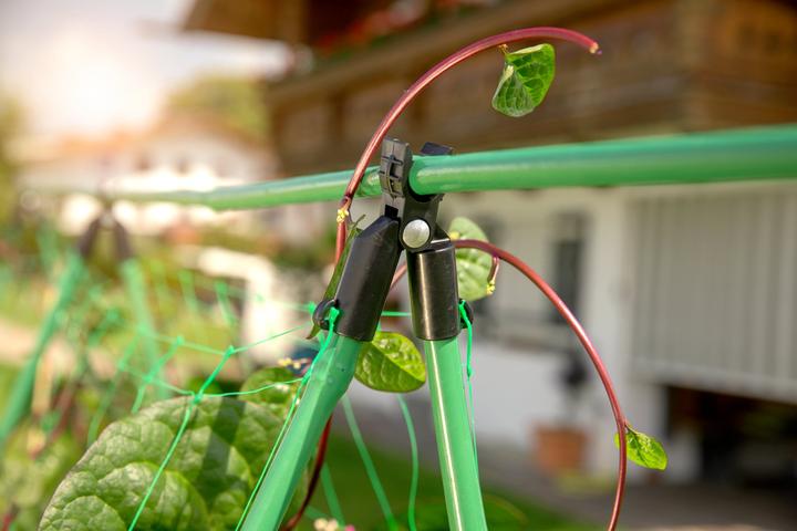 Immagine prodotto Windhager Connettore a bastone per piante (12.30 cm, 16.50 cm)